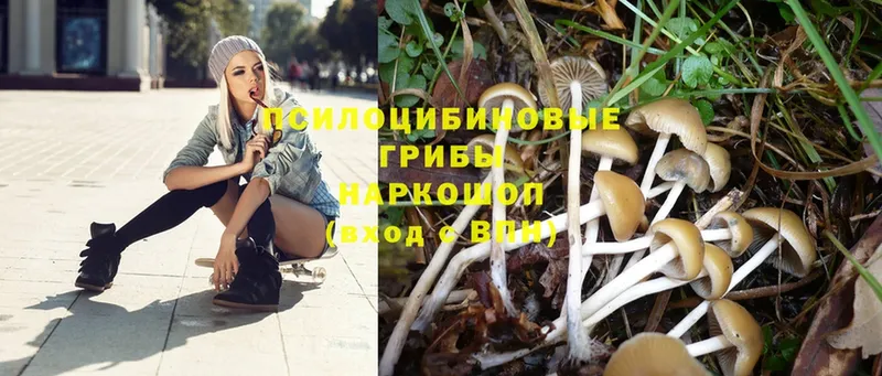 Галлюциногенные грибы Magic Shrooms  продажа наркотиков  Бирск 